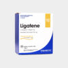yamamoto-avitazen-ligatene-tendoforter-joint-health-powder