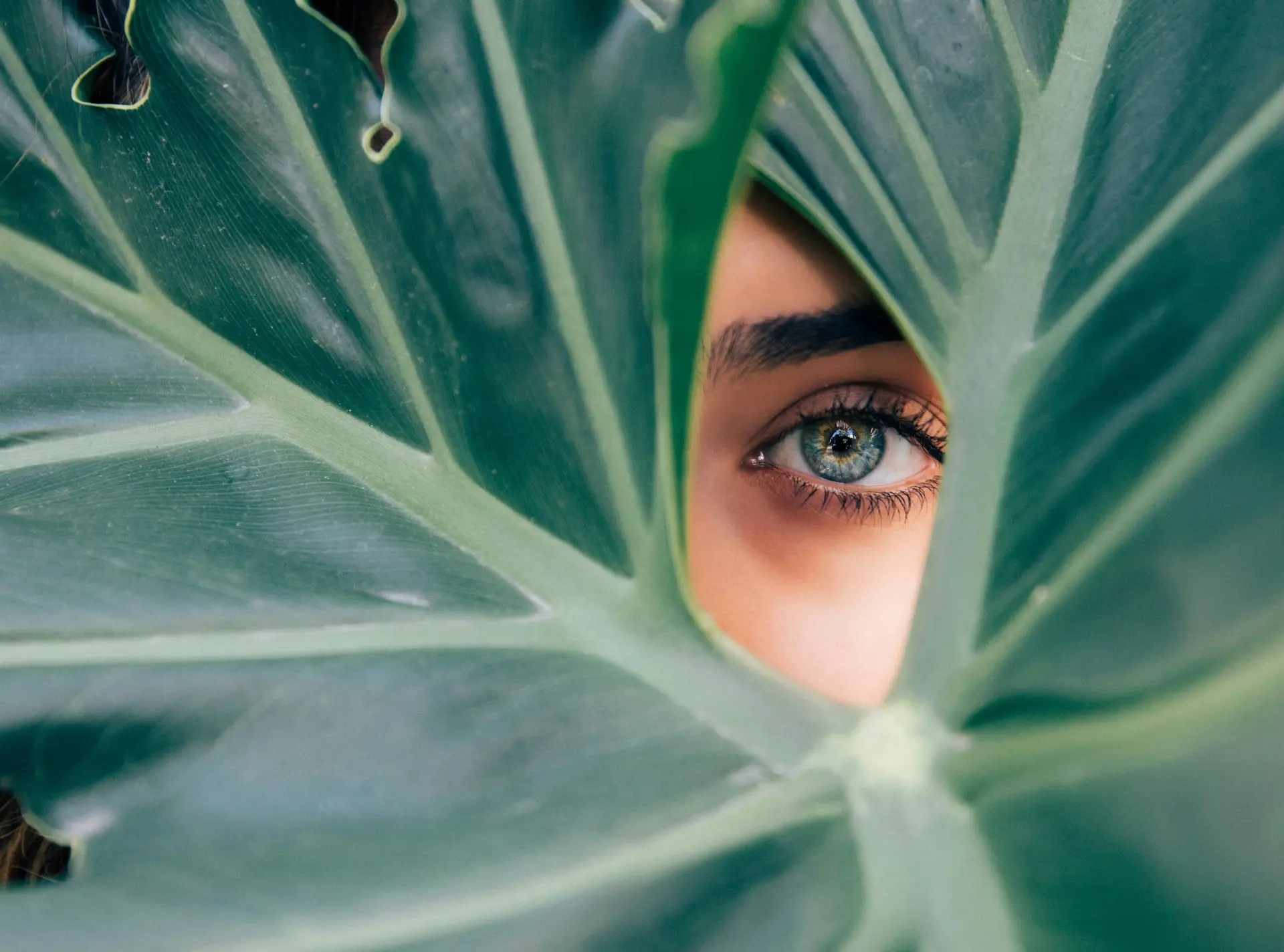 Close-up of a beautiful, healthy eye showcasing radiant skin and vibrant eye health, supported by beauty supplements.