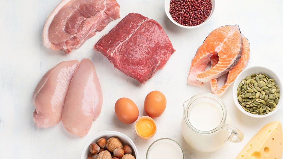 Protein Intake During Weight Loss